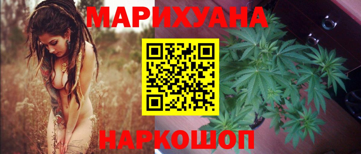 Бошки Шишки план Мурино